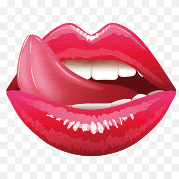 booknightgirls.online call girls & escorts